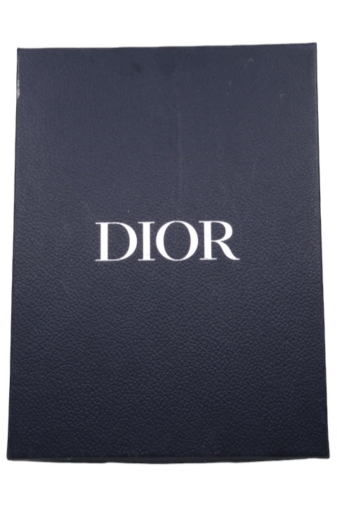 Dior B24 Sorayama Runtek Blue Size 42 Pre-owned